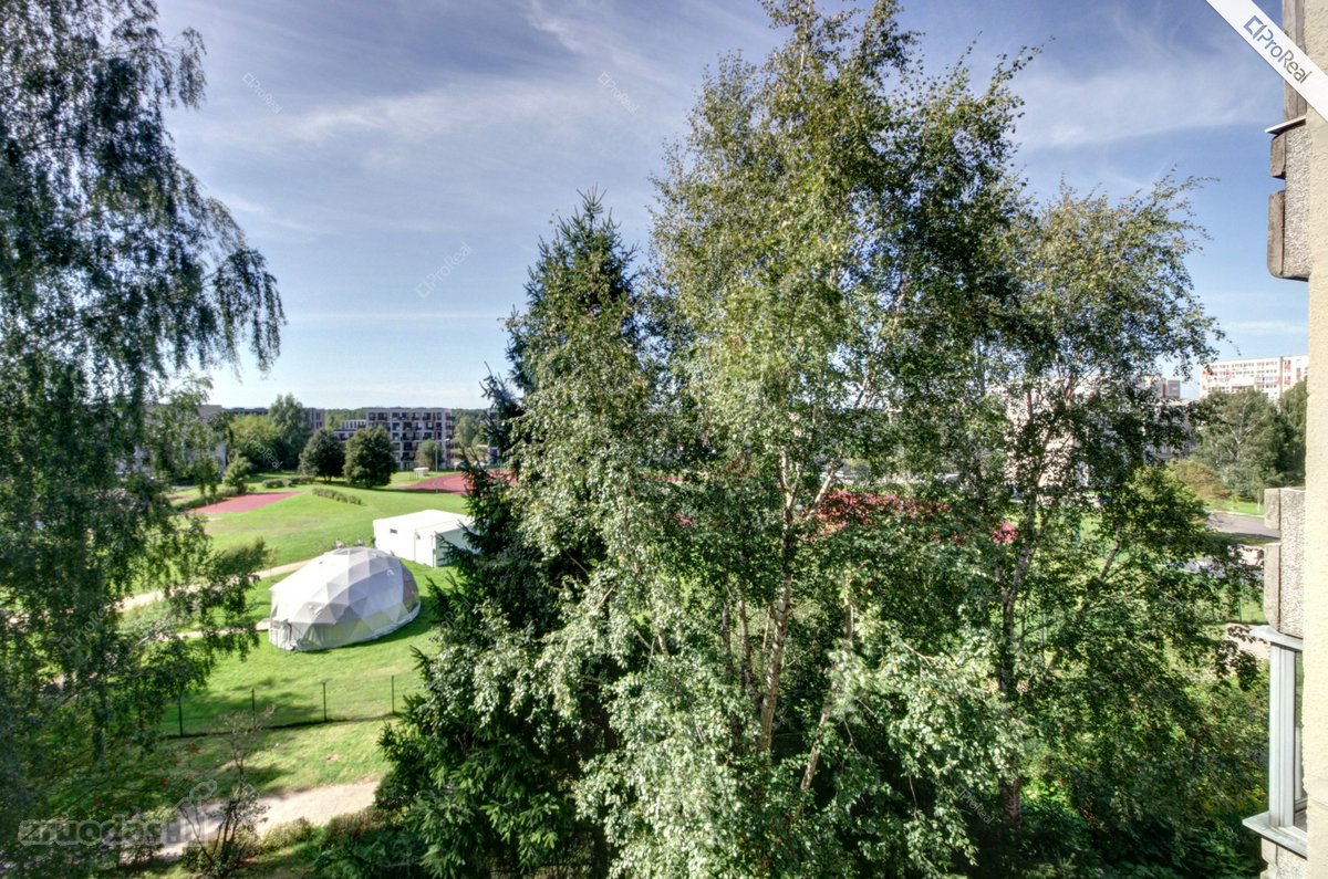 Išnuomojamas Tvarkingas 3 Atskirų Kambarių - nuotraukos Nr. 14