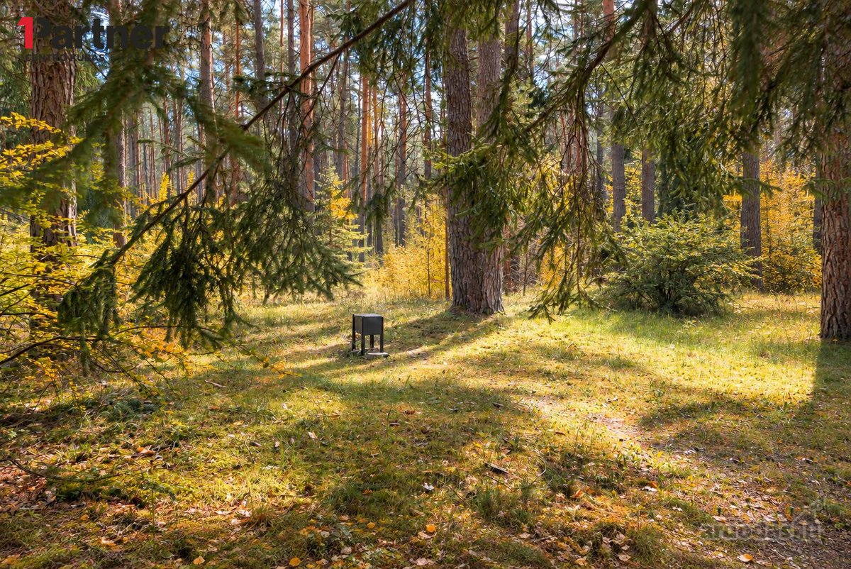 Parduodamas šviesus ir jaukus dviejų kambarių - nuotraukos Nr. 13