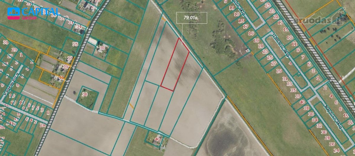 Parduodamas 79,01 Arų Žemės Ūkio Paskirties - nuotraukos Nr. 2