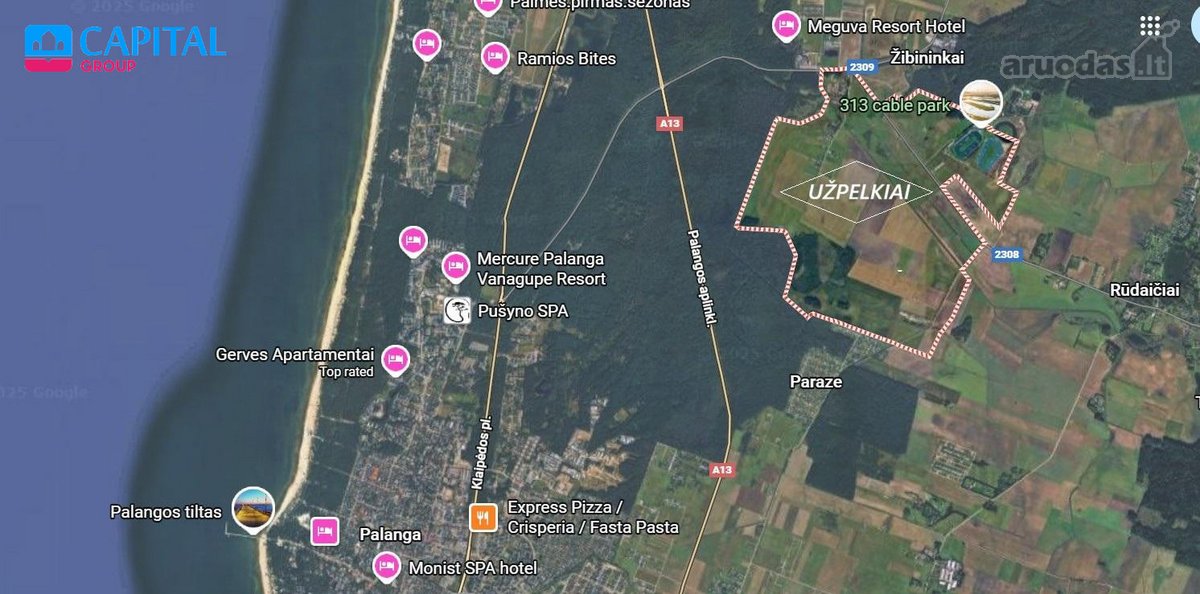Parduodamas 79,01 Arų Žemės Ūkio Paskirties - nuotraukos Nr. 4