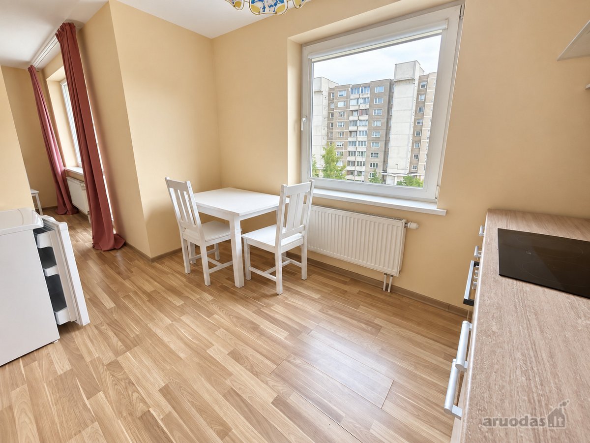 Nuomojamas jaukus ir tvarkingas 30 m² 1 - nuotraukos Nr. 4