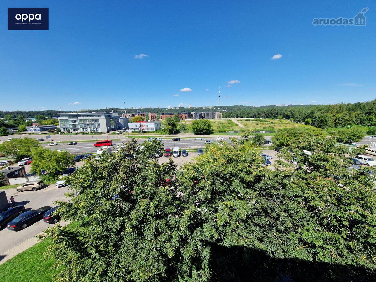 Jaukus 1 Kambario Butas Su Vaizdu Į Vingio - nuotraukos Nr. 2