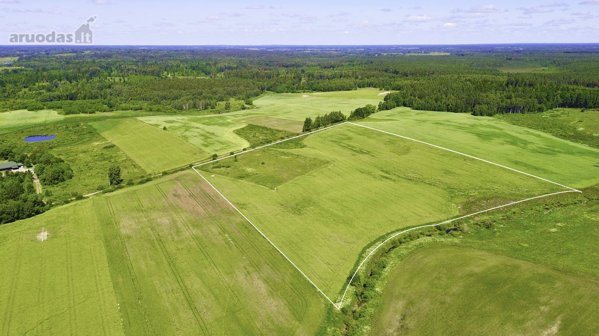 Parduodamas didelis 7,7439 ha žemės ūkio - nuotraukos Nr. 5