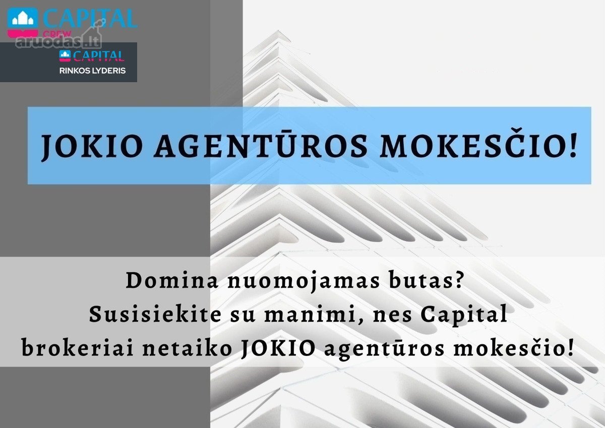 Nuomojamas 2 Kambarių Butas Renovuotame Name - nuotraukos Nr. 20