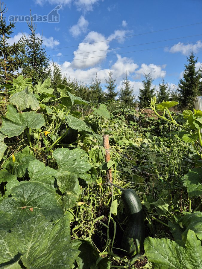 Parduodamas Visiškai Įrengtas, Jaukus Ir - nuotraukos Nr. 58