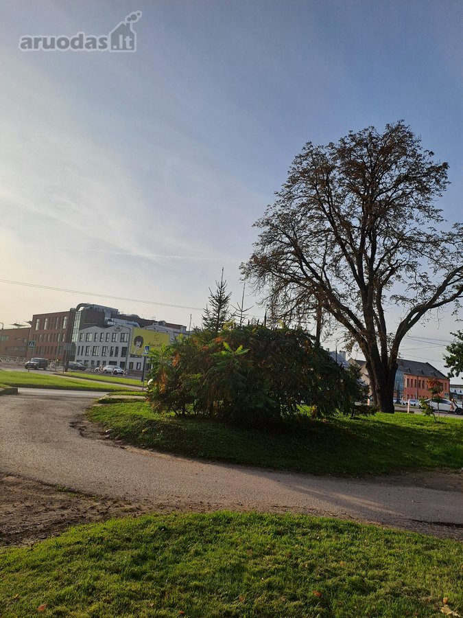 Kauno Centre prie M. K. Čiurlionio tilto, - nuotraukos Nr. 16