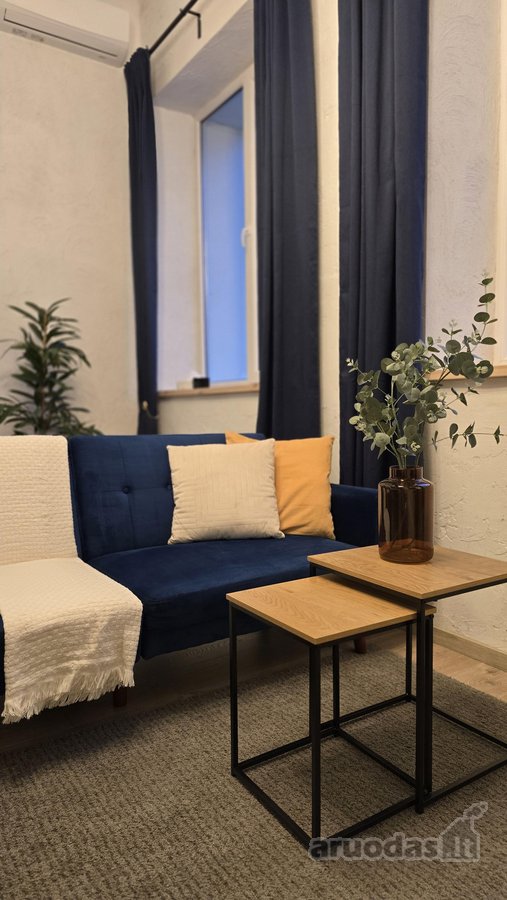 Modernus Ir Stilingas Loftas – Unikali Erdvė - nuotraukos Nr. 13