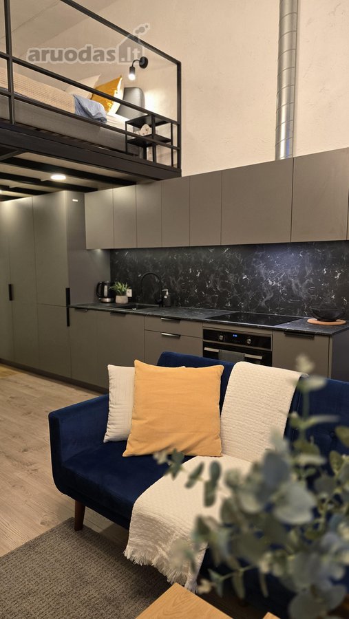 Modernus Ir Stilingas Loftas – Unikali Erdvė - nuotraukos Nr. 6