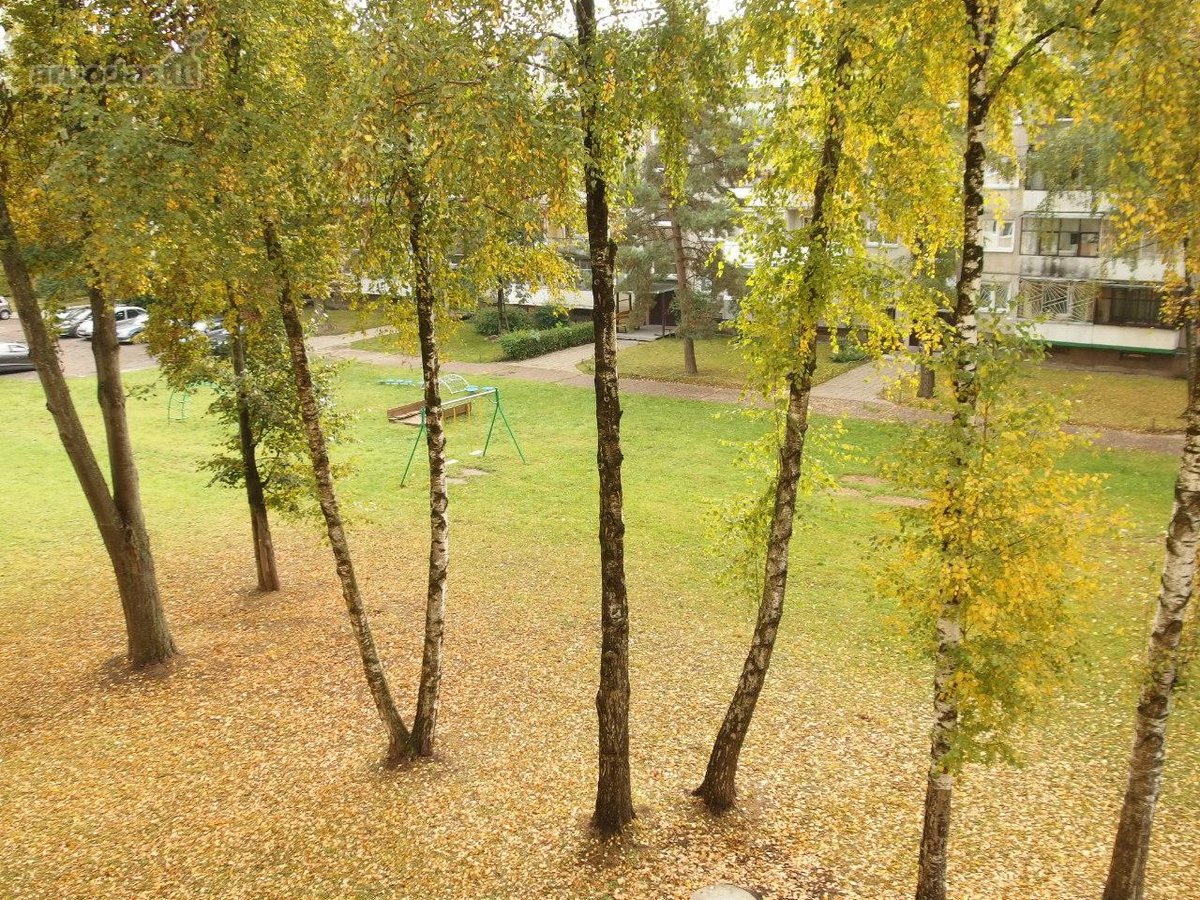 Parduodamas 2-jų kambarių butas, viename iš - nuotraukos Nr. 22