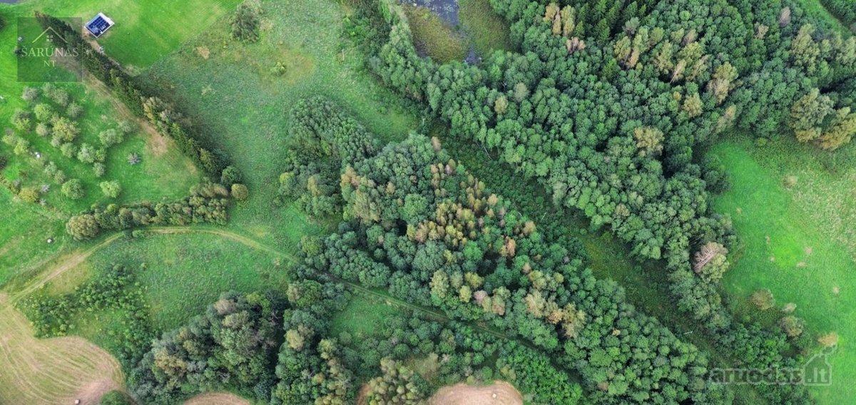 Parduodamas 2 Ha Žemės Sklypas Su Pakrante - nuotraukos Nr. 4
