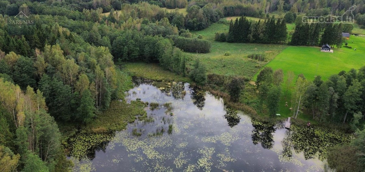 Parduodamas 2 Ha Žemės Sklypas Su Pakrante - nuotraukos Nr. 5