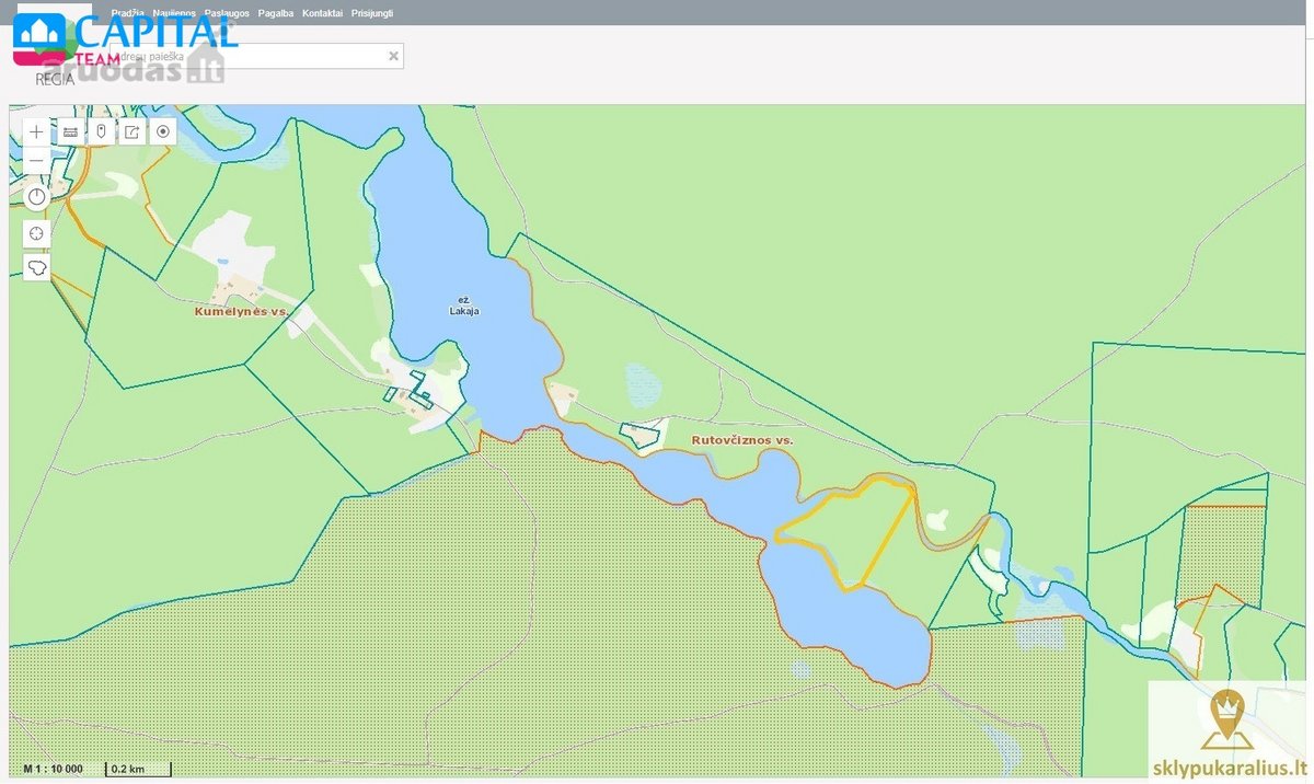 Labanoro girioje ant Lakajos upės ir Lakajos - nuotraukos Nr. 13