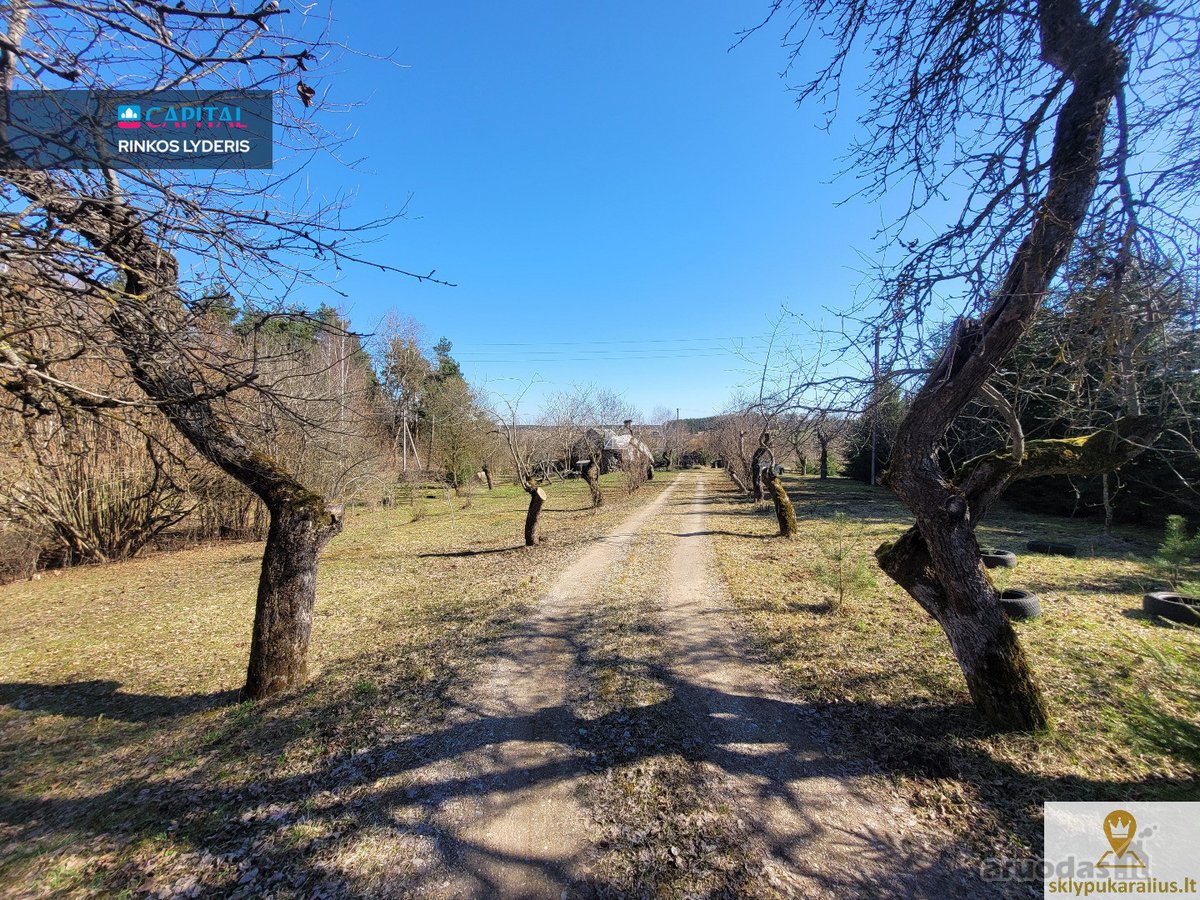 Šalčininkų rajone, visai šalia Varėnos rajono - nuotraukos Nr. 5