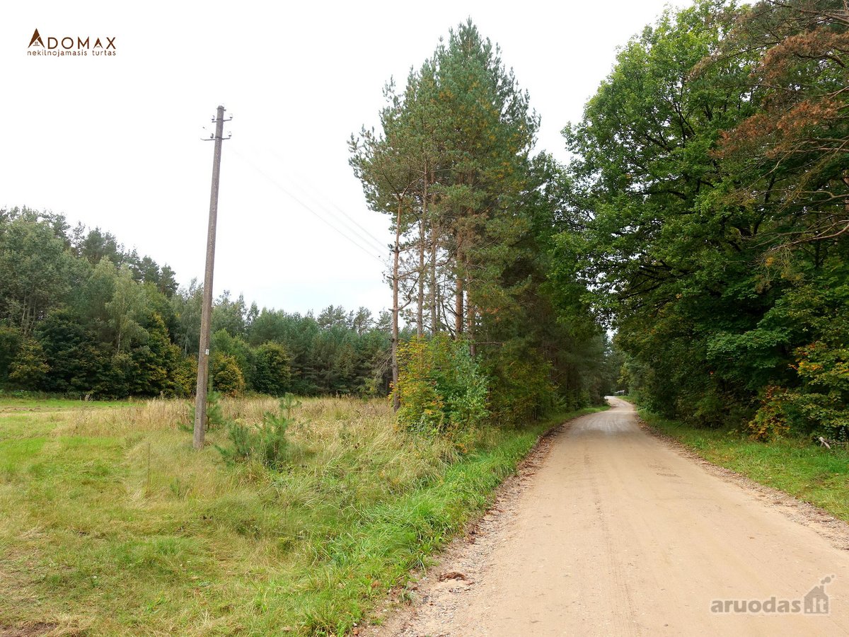 Patrauklioje vietoje, šalia miško, su geru - nuotraukos Nr. 5