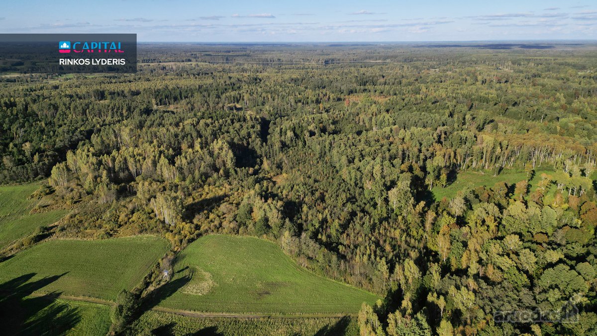 Parduodamas Žemės Ūkio Paskirties Sklypas! - nuotraukos Nr. 5