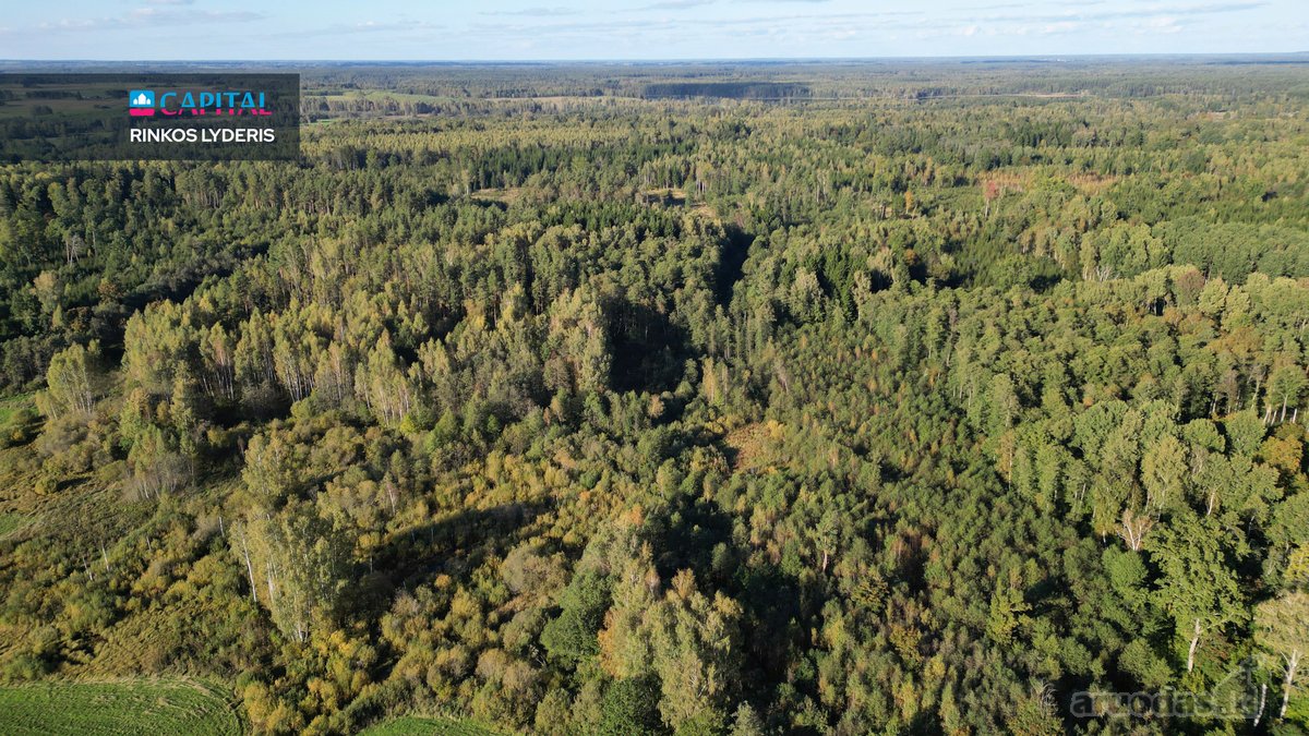 Parduodamas Žemės Ūkio Paskirties Sklypas! - nuotraukos Nr. 28