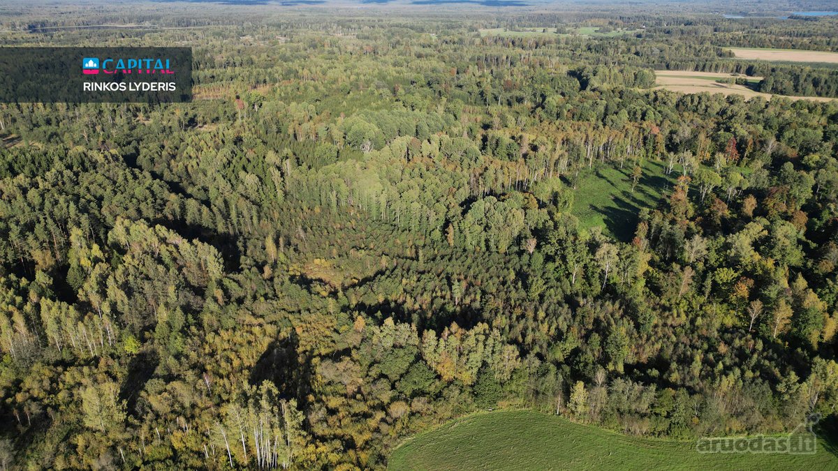 Parduodamas Žemės Ūkio Paskirties Sklypas! - nuotraukos Nr. 29