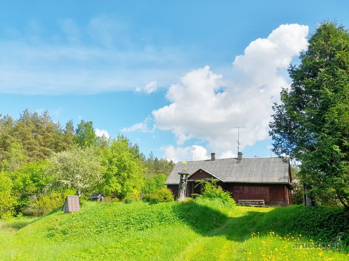 Išskirtinė Sodyba Su Tvenkiniu Miškų - nuotraukos Nr. 14