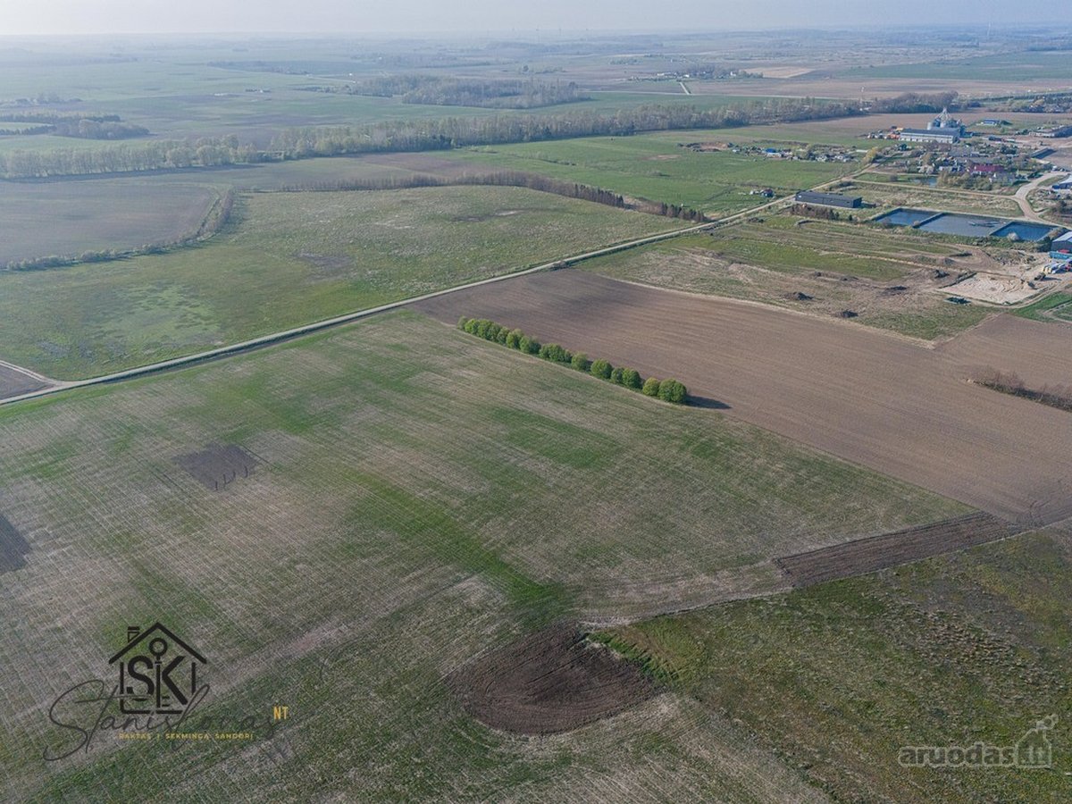 Parduodamas 73.39 Arų Sklypas Kretingalėje, - nuotraukos Nr. 12