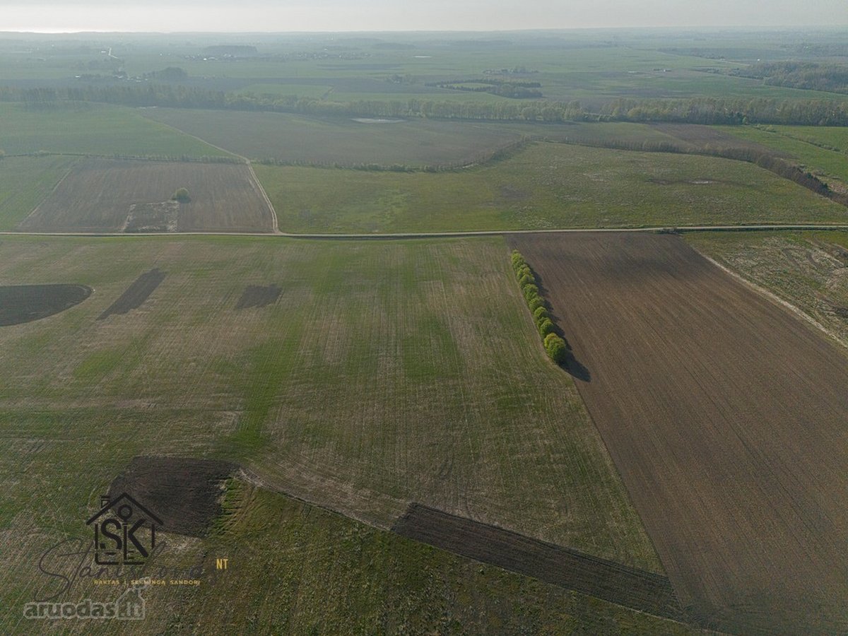 Parduodamas 73.39 Arų Sklypas Kretingalėje, - nuotraukos Nr. 13
