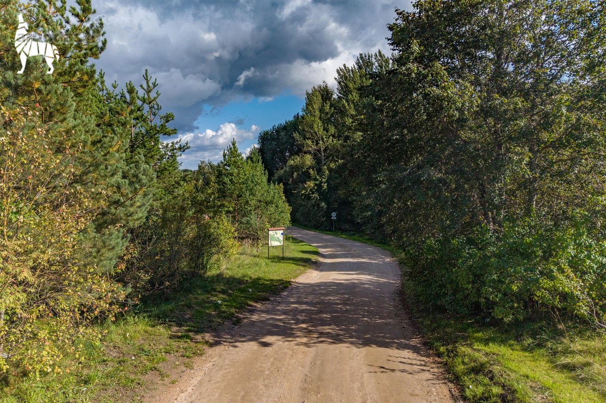 Parduodamas vieno aukšto gyvenamasis namas - nuotraukos Nr. 18