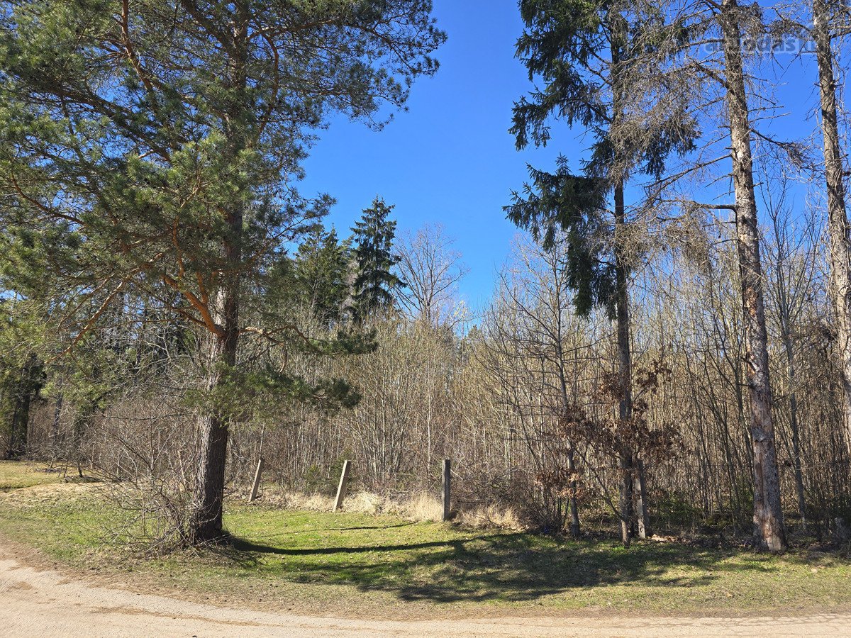 Pušynų apsuptyje, visai šalia Utenos miesto, - nuotraukos Nr. 8