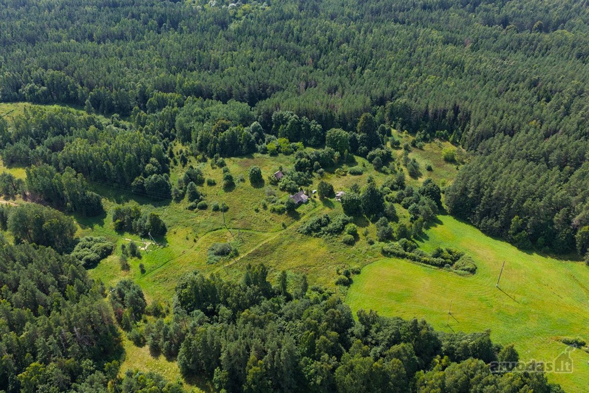 Vos 4 km nuo Zarasų, atokiame vienkiemyje - nuotraukos Nr. 2