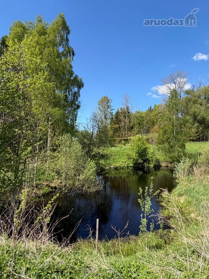 Sodyba su gyvybės šaltiniu: namai, kuriuose - nuotraukos Nr. 31