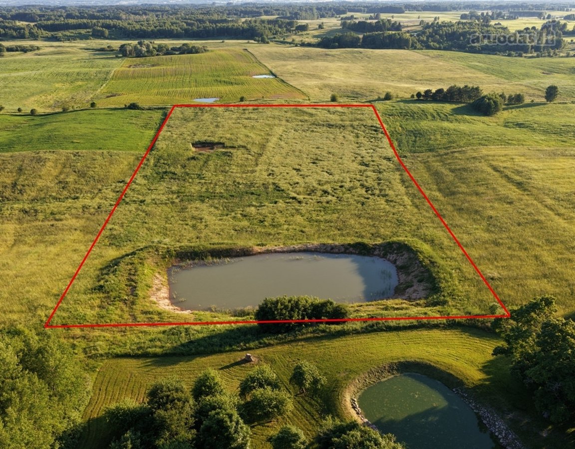 Kalvų, klonių ir žaliuojančių sodų apsuptyje - nuotraukos Nr. 25