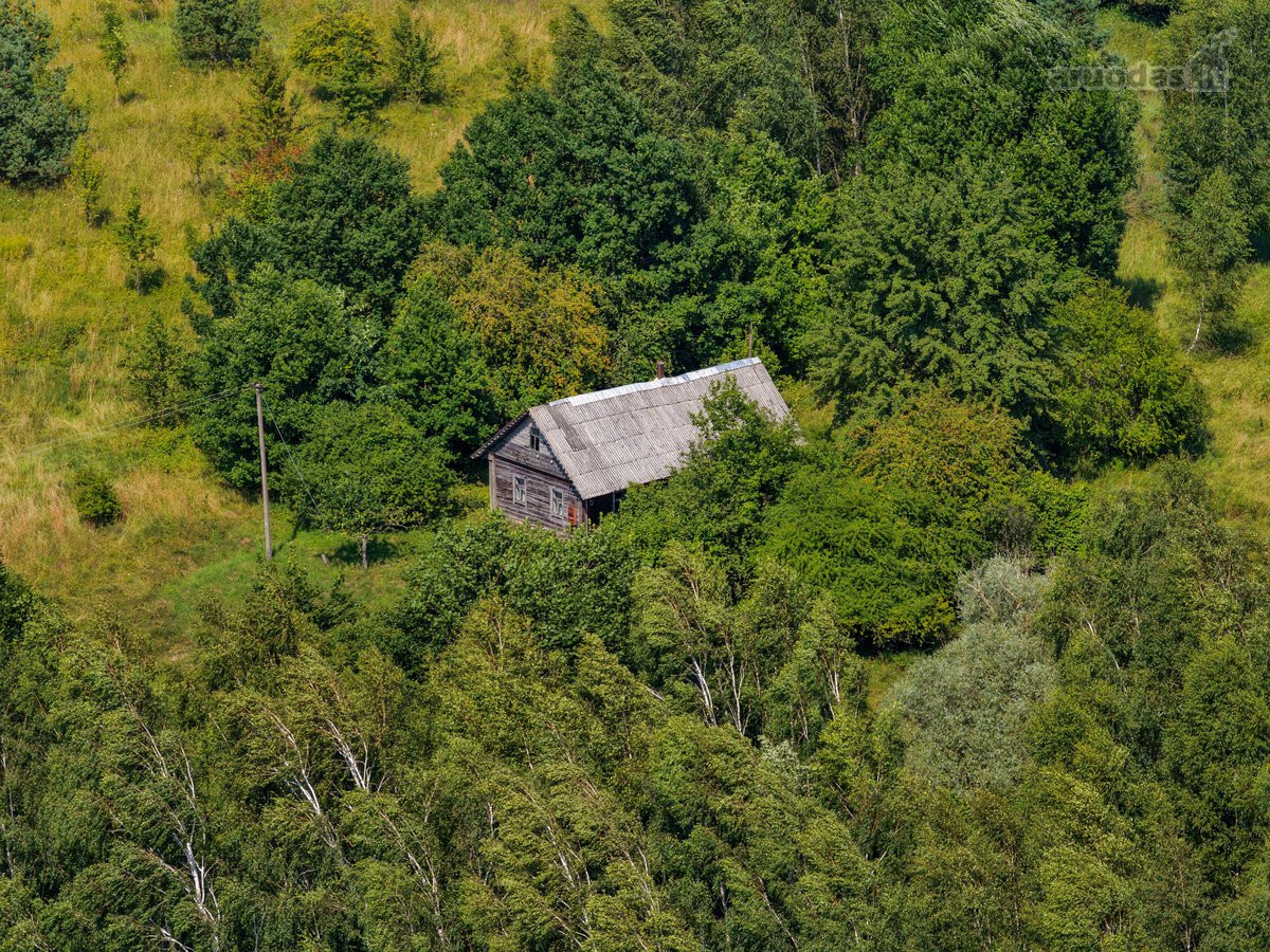 Pušyno apsuptyje, ant aukštos kalvos - nuotraukos Nr. 12