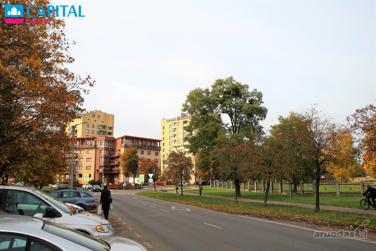 Vienoje Ramiausių Zonų Centrinėje Miesto - nuotraukos Nr. 19