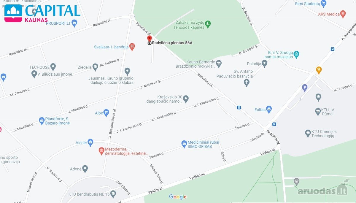 Vienoje Ramiausių Zonų Centrinėje Miesto - nuotraukos Nr. 21