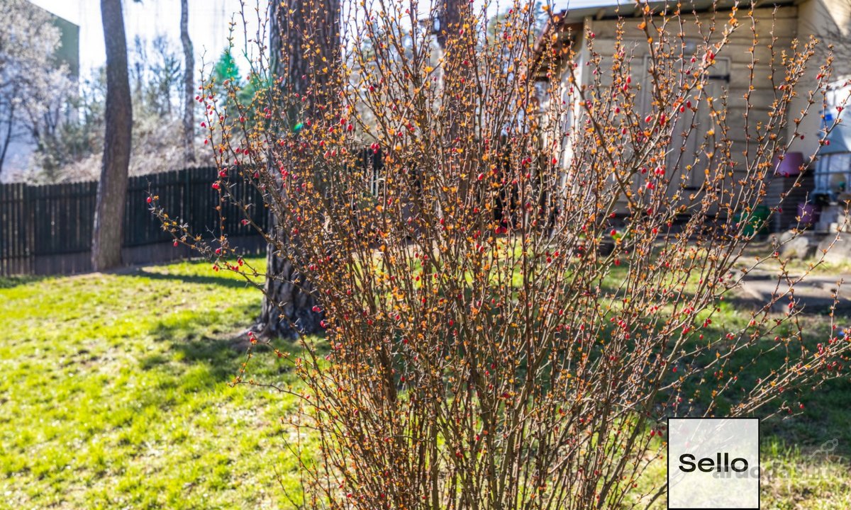  – Nt ekspertai be procentų - nuotraukos Nr. 37