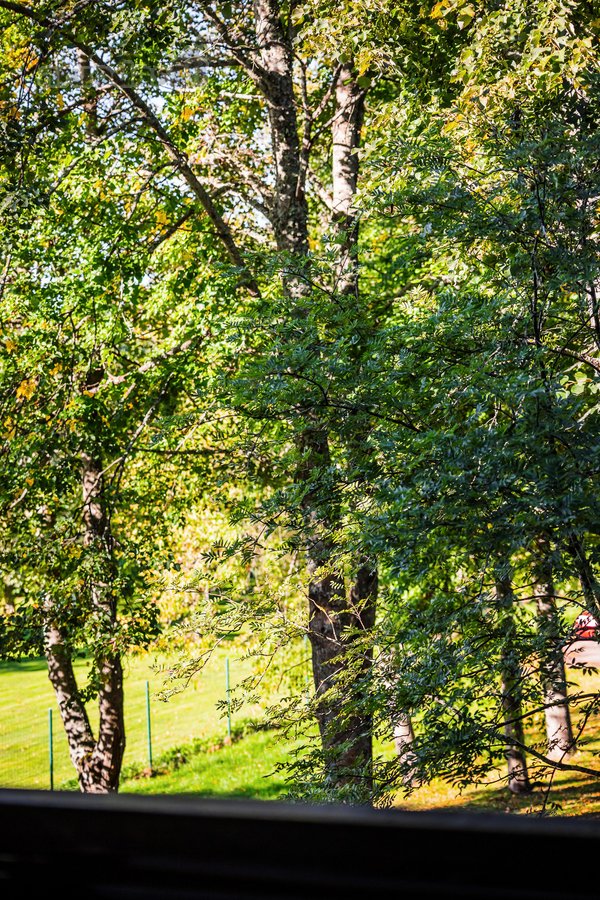 Parduodami 2 Kambarių Apartamentai Palangoje, - nuotraukos Nr. 3