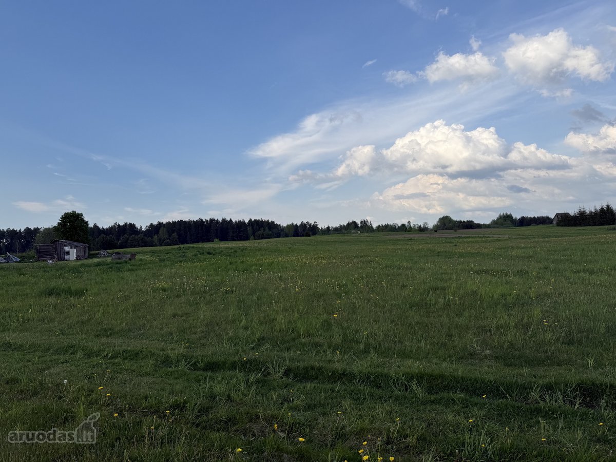 Parduodamas 74 a sklypas Slabadoje, Vilniaus - nuotraukos Nr. 6