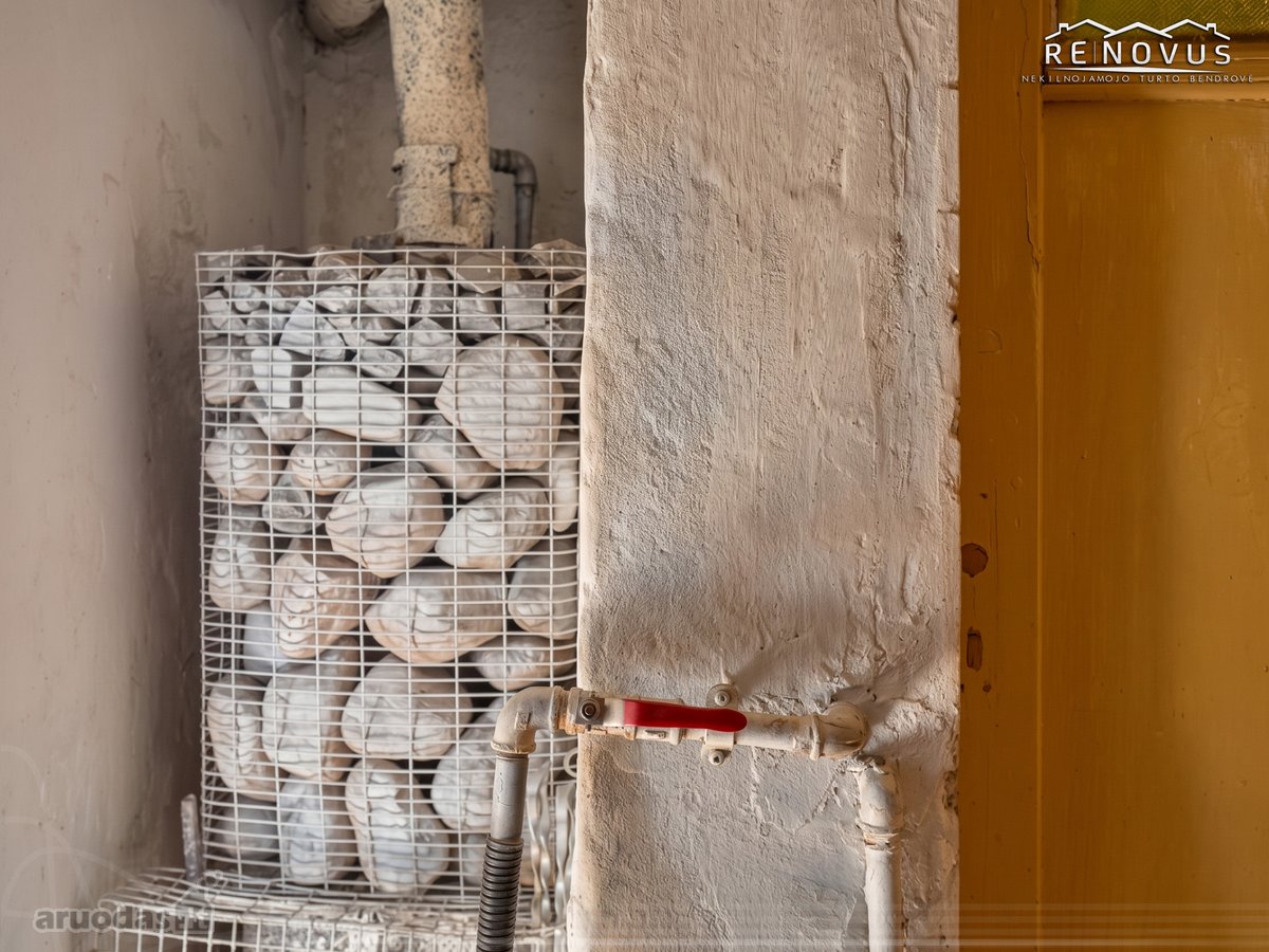 Parduodamas 6,14 a sodo sklypas su statiniais - nuotraukos Nr. 17