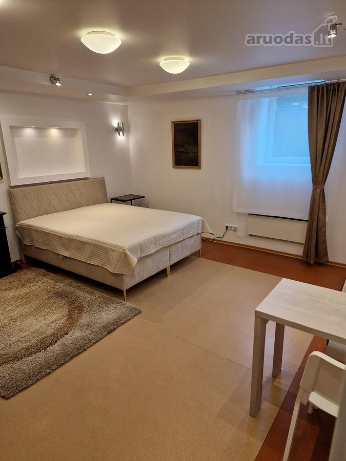 Išnuomojamas jaukus ir tvarkingas, vieno - nuotraukos Nr. 3