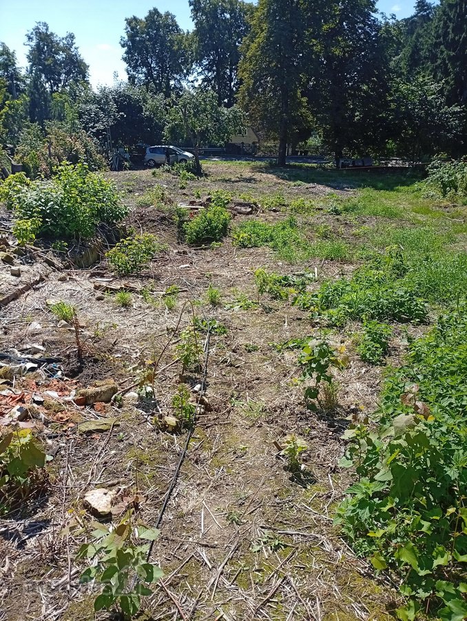 # Parduodamas 10,21 Aro Sklypas Aukštadvaryje - nuotraukos Nr. 3