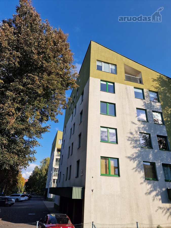 Išnuomojamas jaukus ir tvarkingas, vieno - nuotraukos Nr. 13