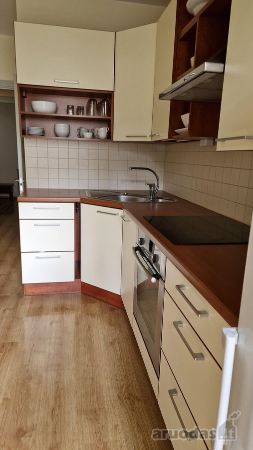 Išnuomojamas butas ant Neries upės krantu, su - nuotraukos Nr. 11