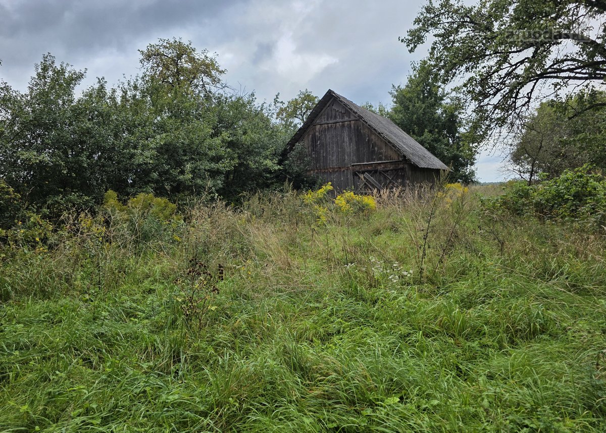 Parduodamas namas Dieveniškių sen., Maciučių k. - nuotraukos Nr. 6
