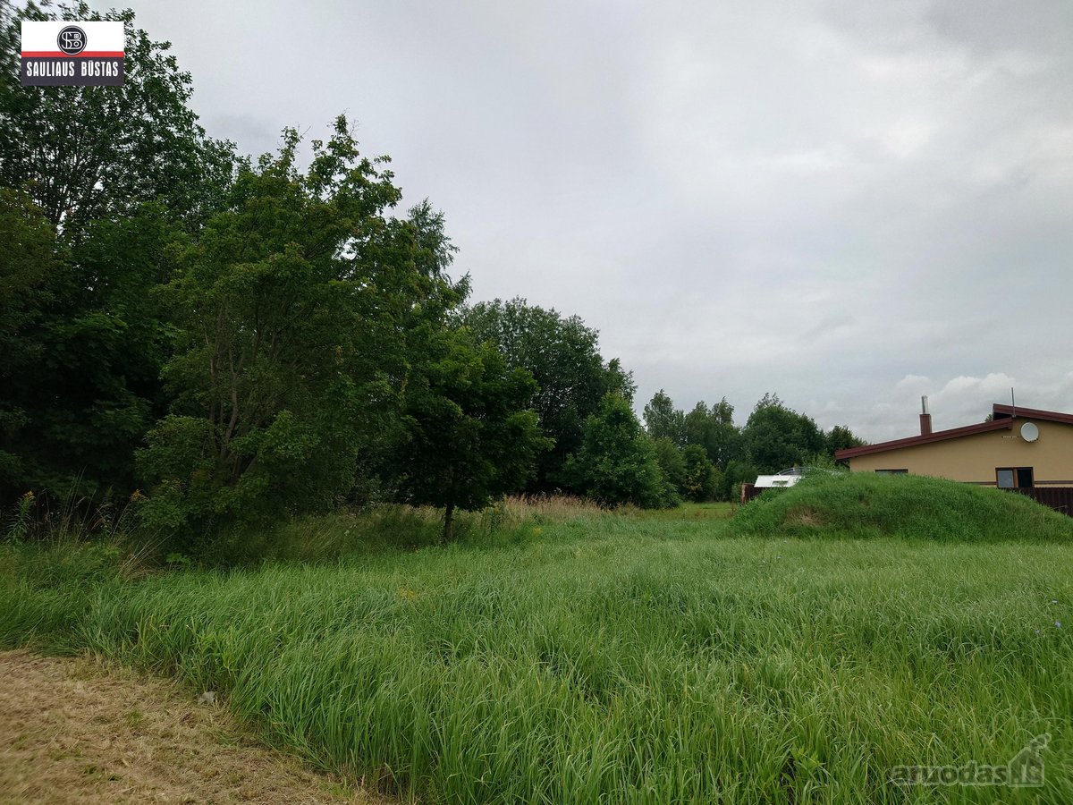 Parduodamas labai pigiai geroje vietoje 5,5 a - nuotraukos Nr. 12