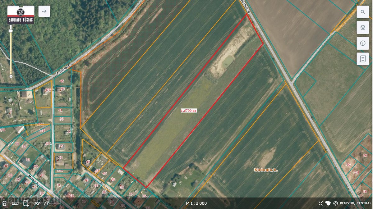 Parduodamas pigiai 1,67 ha žemės sklypas - nuotraukos Nr. 3
