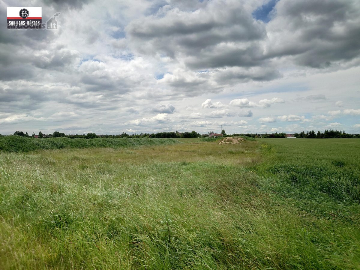 Parduodamas pigiai 1,67 ha žemės sklypas - nuotraukos Nr. 7