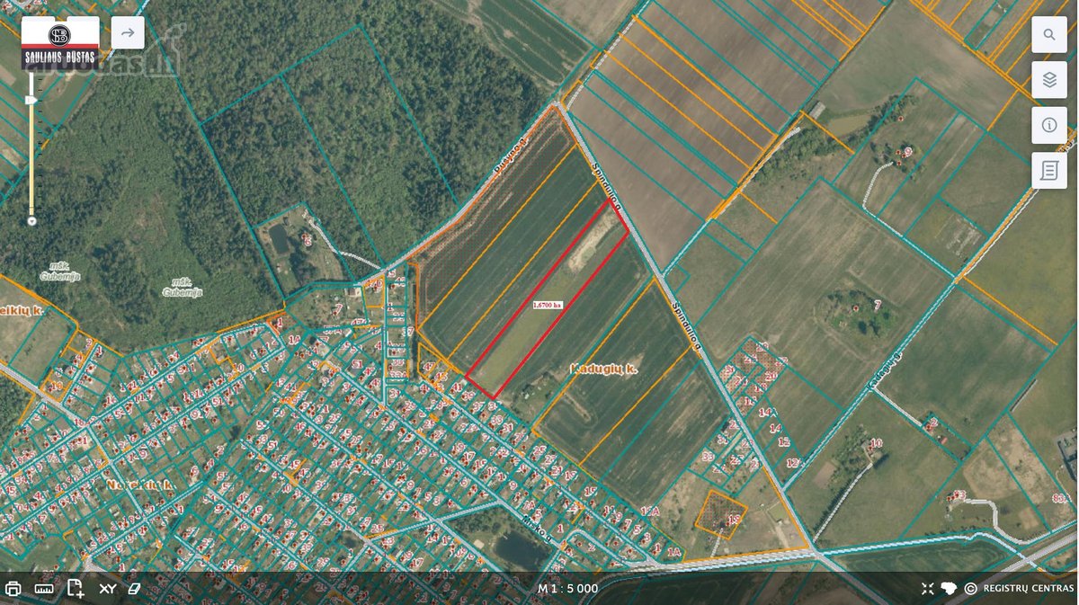 Parduodamas pigiai 1,67 ha žemės sklypas - nuotraukos Nr. 6