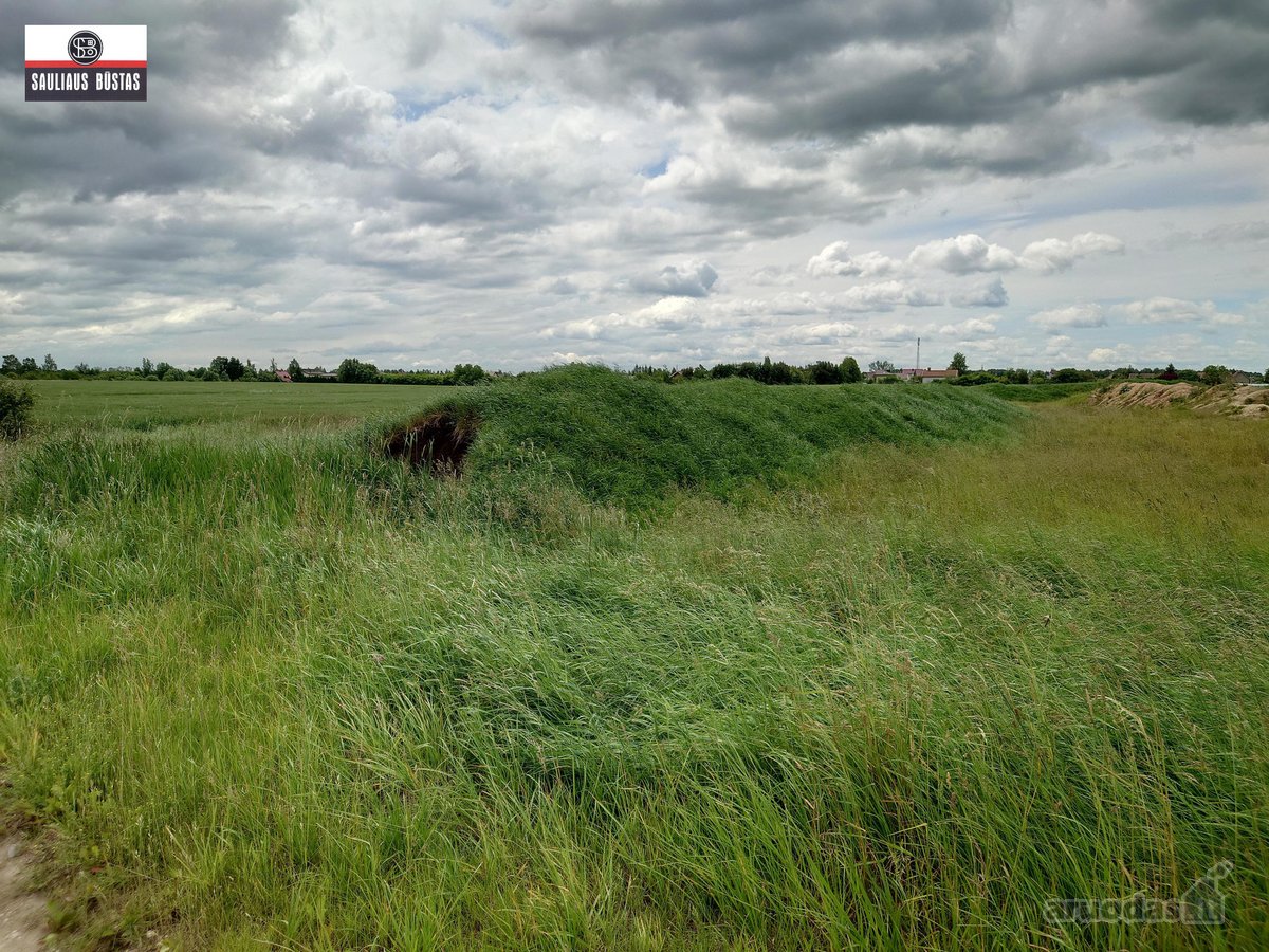 Parduodamas pigiai 1,67 ha žemės sklypas - nuotraukos Nr. 9