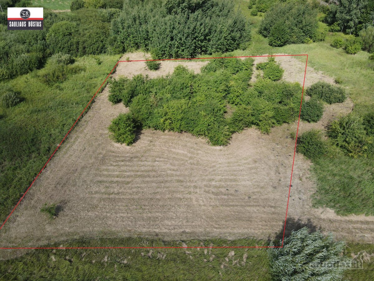 Parduodamas labai pigiai 36,98 a žemės - nuotraukos Nr. 2