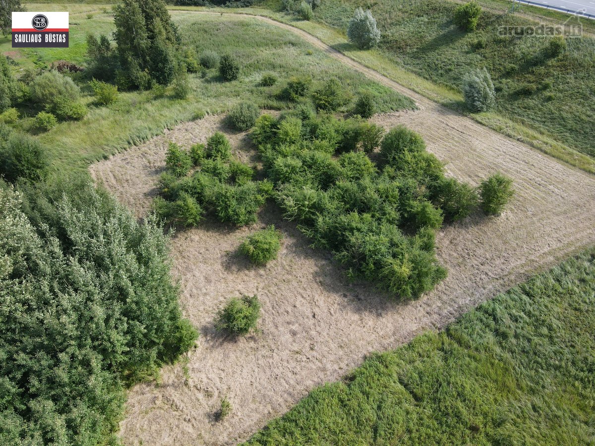 Parduodamas labai pigiai 36,98 a žemės - nuotraukos Nr. 5