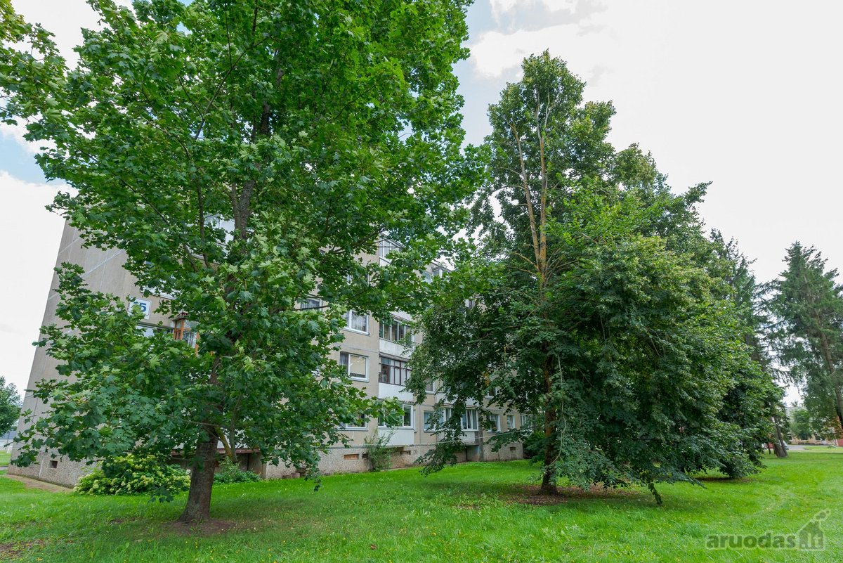 Parduodamas šviesus ir jaukus bei - nuotraukos Nr. 35