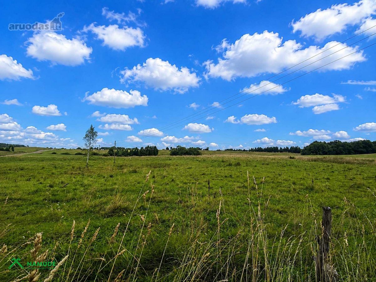 Parduodamas 72 Arų Žemės Sklypas Žiūrų K., - nuotraukos Nr. 4